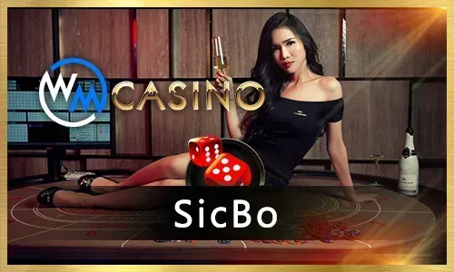 Adventure Themed Slot